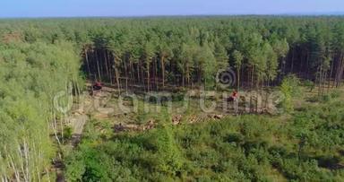 砍伐森林，破坏环境，破坏生态